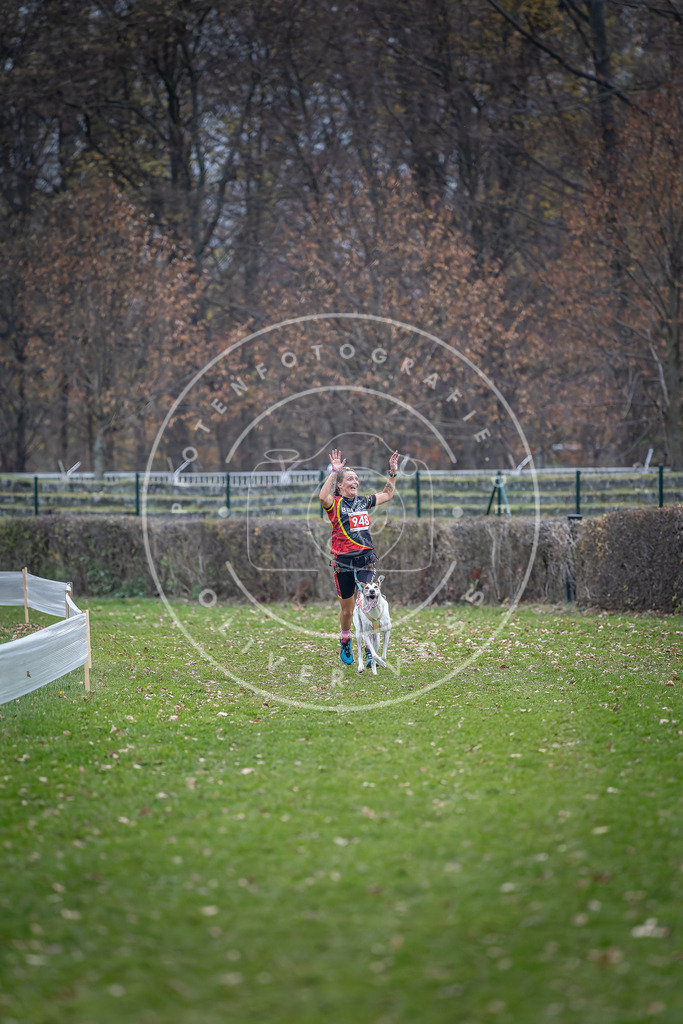 CaniXpix_DV3A7303 | Hundefotografie, Tierfotograf, Pfotenfotografie, Fotoshooting Hund, Hunde Portrait, Hundesport, Hundeportraits, Heideshooting, Hunde, Sportfotograf, Hundefotograf, Turnierhundsport, THS,  - Realisiert mit Pictrs.com