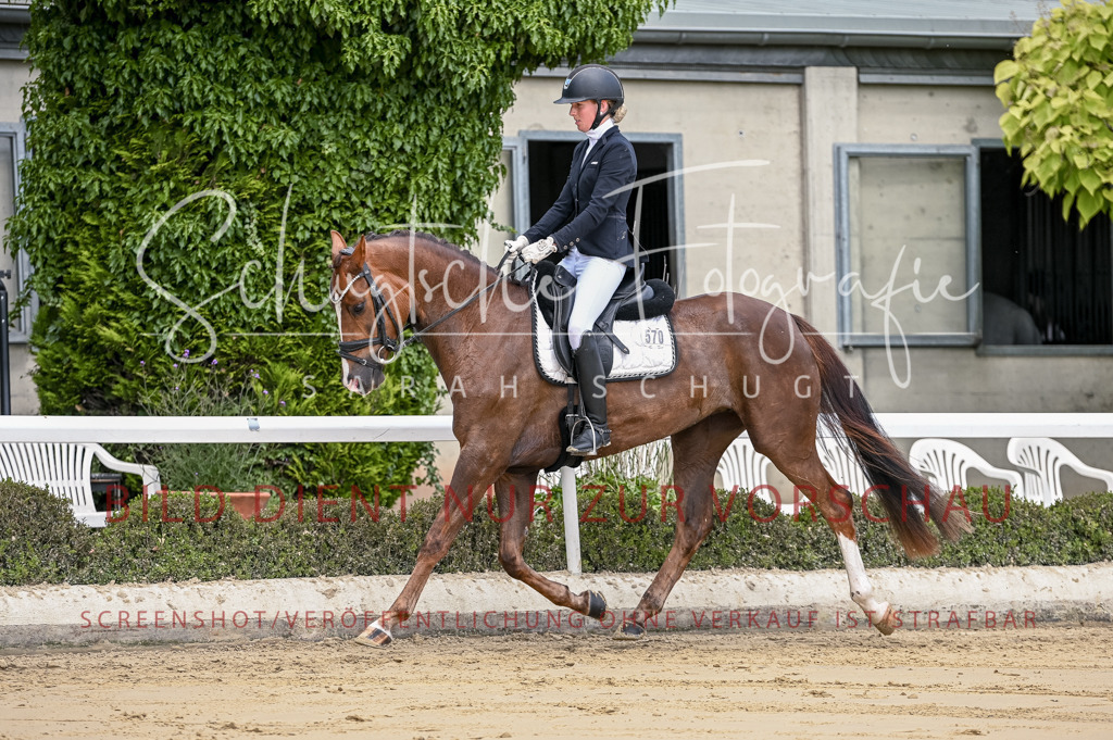 Schugtsche-Aluta25-48.Reitpferfdeprf.-92 | Schugtsche Fotografie - Realizzato con Pictrs.com
