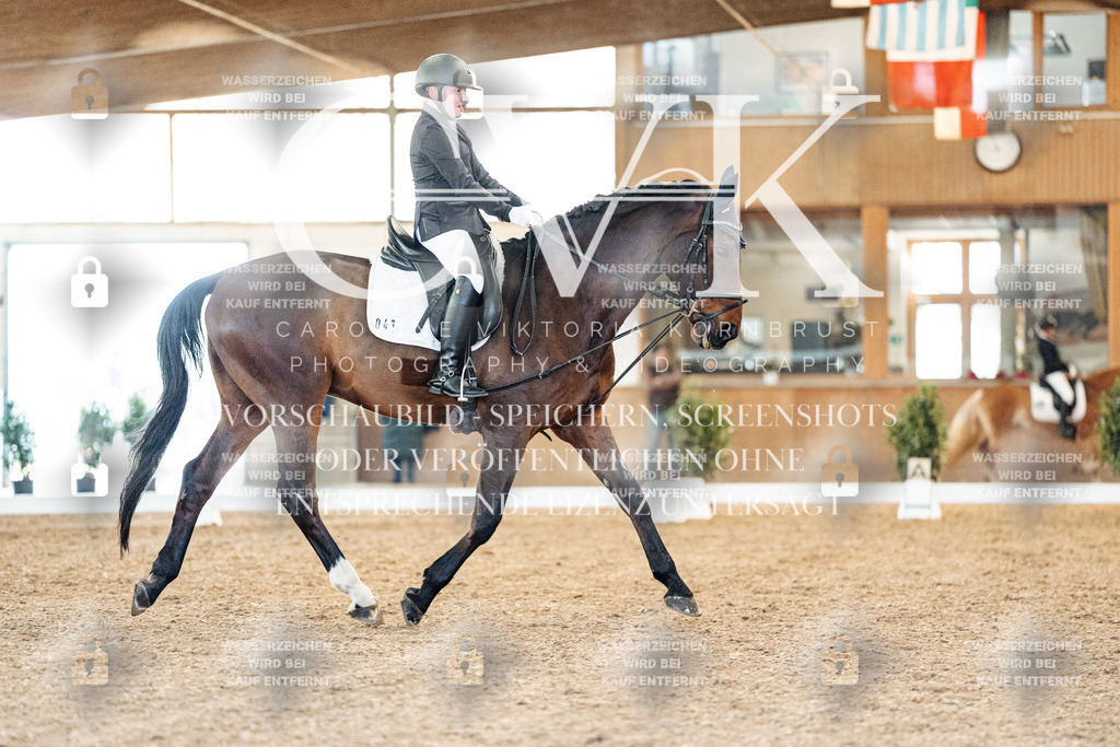 CK907268 | Turnierfotografie Pferdefotografie Trier Rheinland-Pfalz Pferdesport Reitsport Tierfotografie Sportfotografie Pferdevideo Pferdevideografie Equestrianvideography equestrianphotography  - Realisiert mit Pictrs.com