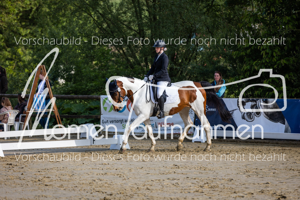 Donop24-A-Dre-036 | MomenTaufnahmen Pferdesportfotos