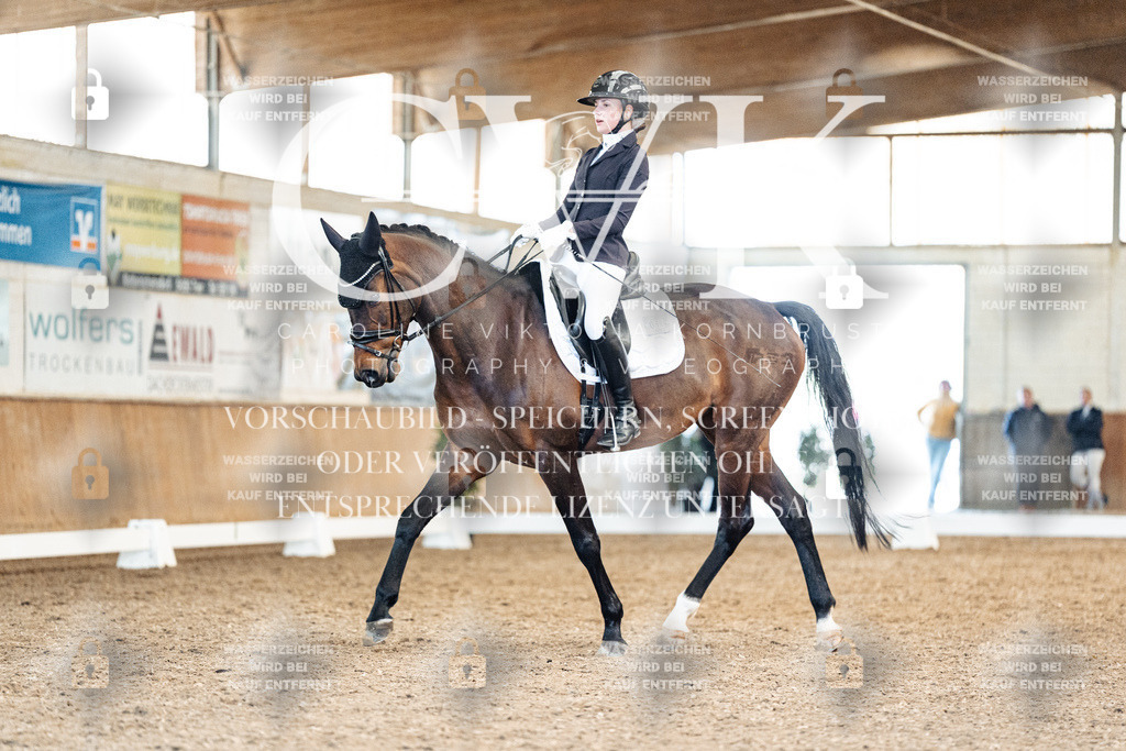 CK909305 | Turnierfotografie Pferdefotografie Trier Rheinland-Pfalz Pferdesport Reitsport Tierfotografie Sportfotografie Pferdevideo Pferdevideografie Equestrianvideography equestrianphotography  - Realisiert mit Pictrs.com