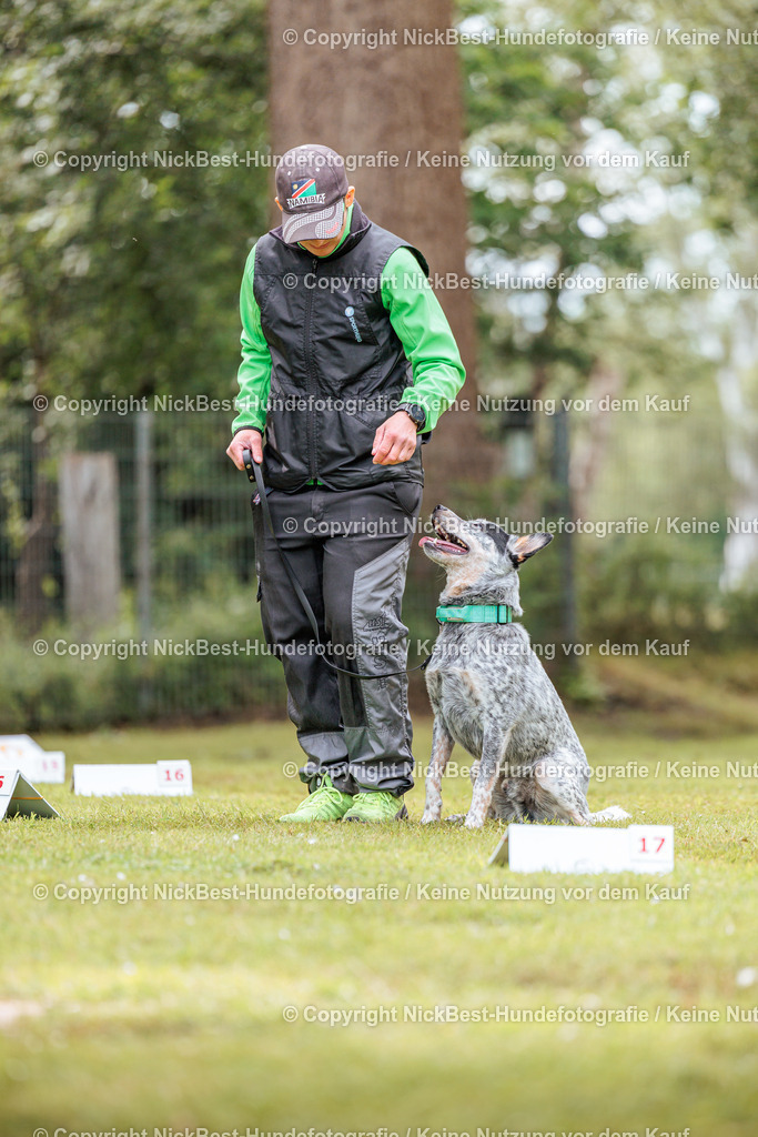 RO-Blumenthal-2026-Nickbest-Hundefotografie-5353 | Dein Hund! Dein Moment! Deine Erinnerungen! Hundefotografie in Bremen Blumenthal. Ich fange die besonderen Momente deines Vierbeiners ein – ob Indoor mit Blitzanlage oder in der freien Natur. Sicher dir dein Moment und dein Termin für eure Erinnerungen.