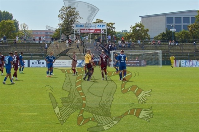 BFC Dynamo vs. F.C. Hertha 03 Zehlendorf 062 | mythos-online-redaktion