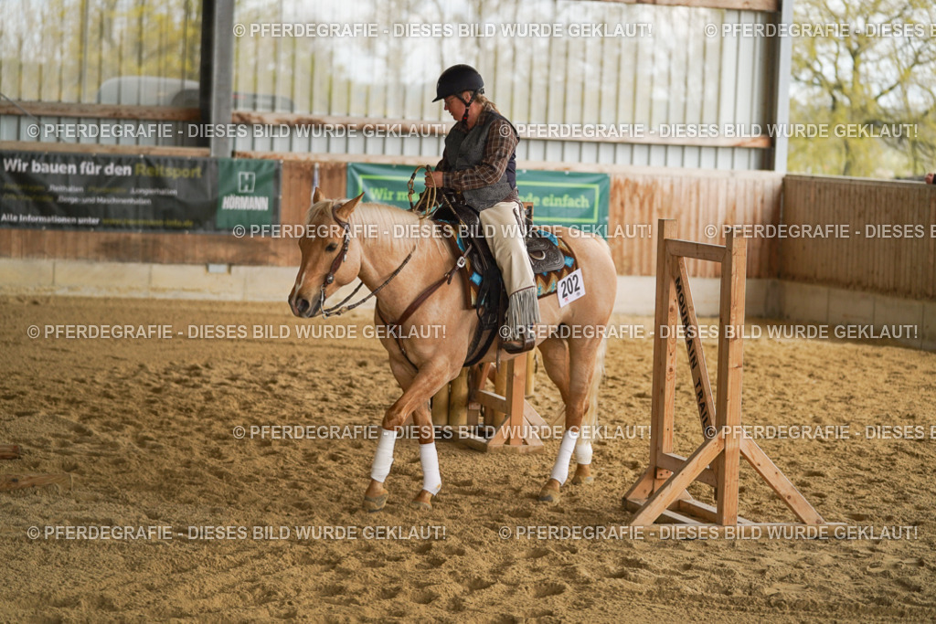 DSC04888 | Pferdegrafie