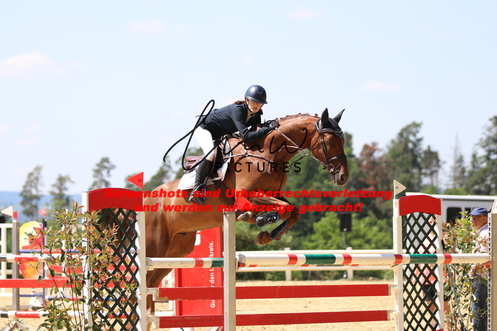 IMG_2559 | lmwpictures - Realisiert mit Pictrs.com