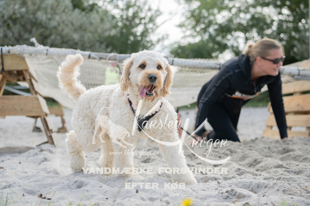 1330_ZZ97262 | kk-dogfotos