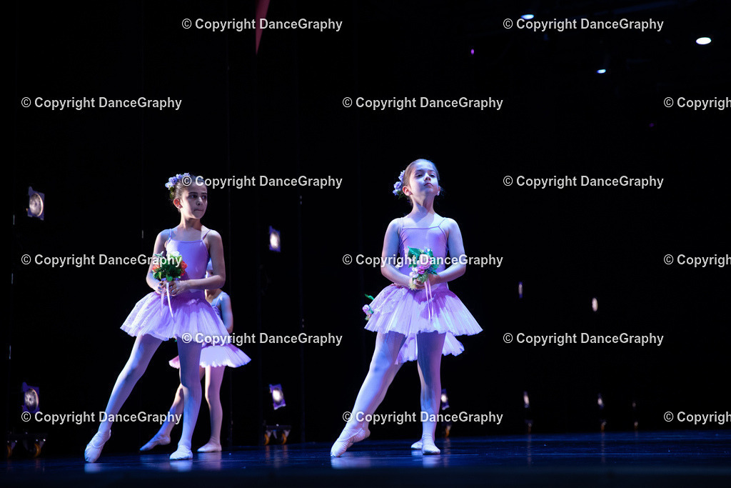 GPHY4890 | DanceGraphy - Realisiert mit Pictrs.com