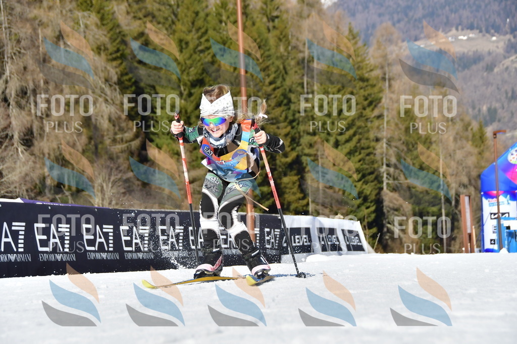 _DSC8806 | holidayphoto