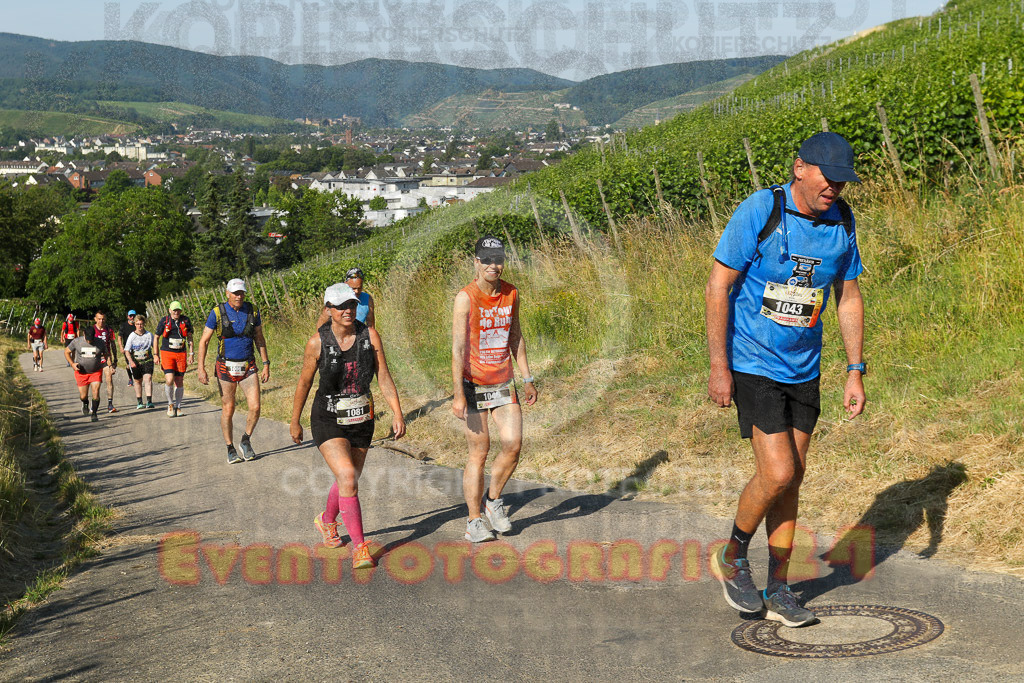 230617_0905_EV9_6148 | Sportfotografie im Rhein-Sieg Kreis, Köln, Bonn, NRW, Rheinland Pfalz, Hessen, etc. Unser Tätigkeitsfeld umfasst den Laufsport vom Volkslauf über den Marathon, Duathlon, Triathon bis zum Ultralauf wie Kölnpfad Ultra oder Schindertrail.