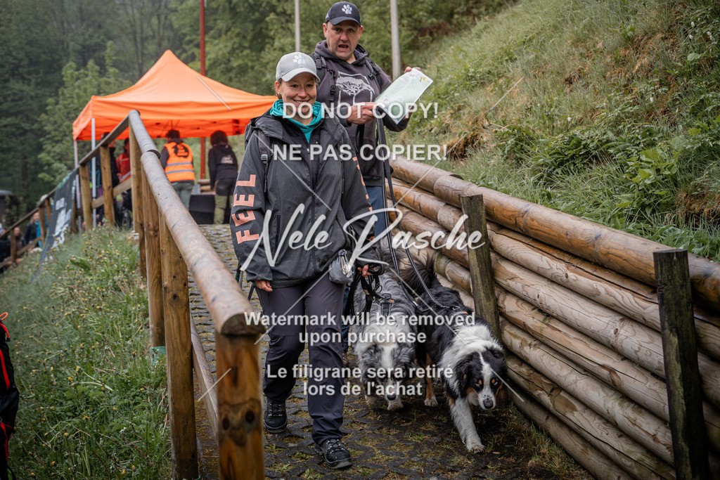 nelerasche_SoAuszug_31 | nelerasche