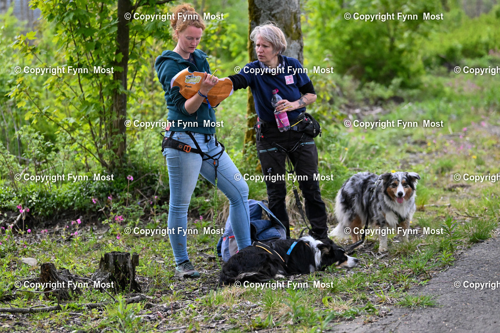 DSC_4870 | Hallo und herzlich Willkommen auf meiner Shop-Seite Fynn Most.

Ich wünsche Dir viel Spaß beim stöbern durch die Bilder, wenn Du Fragen hast oder Bilder vermisst, kannst du mir gerne eine Nachricht schreiben. - Realisiert mit Pictrs.com