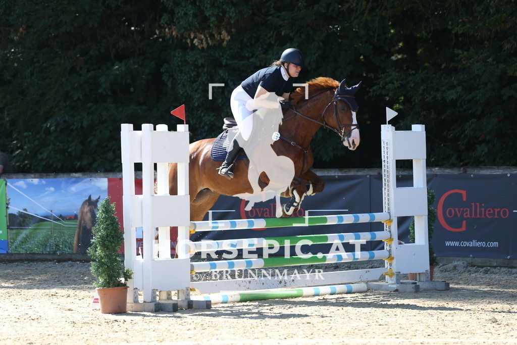 DL2Q8052 | Willkommen bei Brunnmayr - Design & Fotografie – Ihrem Spezialisten für Reitturniere und Pferdeveranstaltungen in Oberösterreich, Salzburg und Bayern! Seit über 17 Jahren sind wir leidenschaftlich dabei.