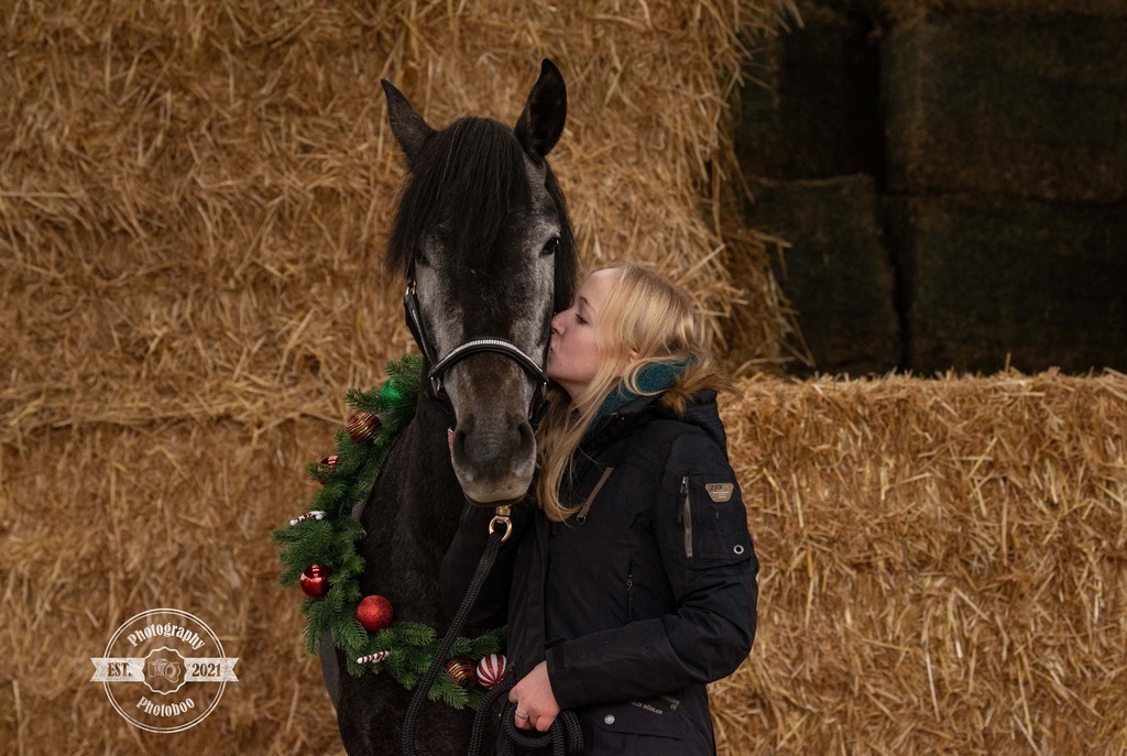 Lieblingsbilder_Photoboo_15 | Pferde- und Hundefotografie in Köln und Umgebung von Vanessza Csuka - Realisiert mit Pictrs.com
