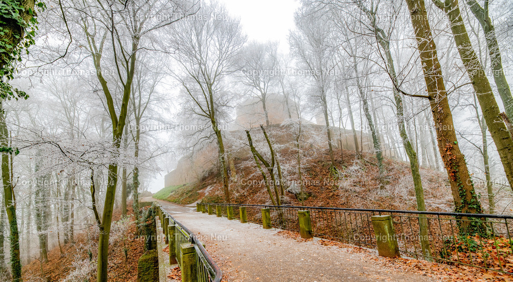 Winter-Schloss-Auerbach-Thomas_Neu_Fotografie-46 | Winterzauber auf Schloss Auerbach: Die historische Burgruine hoch über der Bergstraße zeigt sich im Schnee von ihrer beeindruckendsten Seite. Der Blick über die Rheinebene, der mächtige Wehrturm und die markante Schwarzkiefer machen das Schloss zu einem der schönsten Wintermotive im Odenwald. Entdecken Sie die faszinierende Kombination aus Geschichte, Natur und einzigartiger Winteratmosphäre., Bild: Thomas Neu