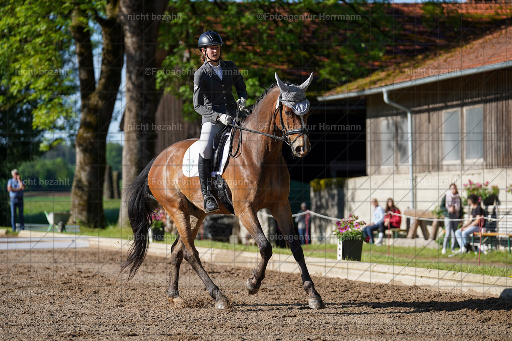 20240519-FAH04336 | Turnierbilder Niederseeon 2024, Vielseitigkeitsdressur, Reitsportbilder aus dem Landkreit Ebersberg, Gut Steinsee, RC Steinsee, Fotoagentur Herrmann