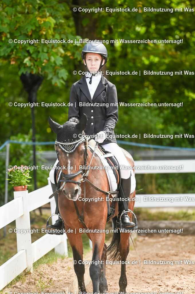 20230716_10-2_Reiter-WB Schritt - Trab - Galopp_0193 | equistock