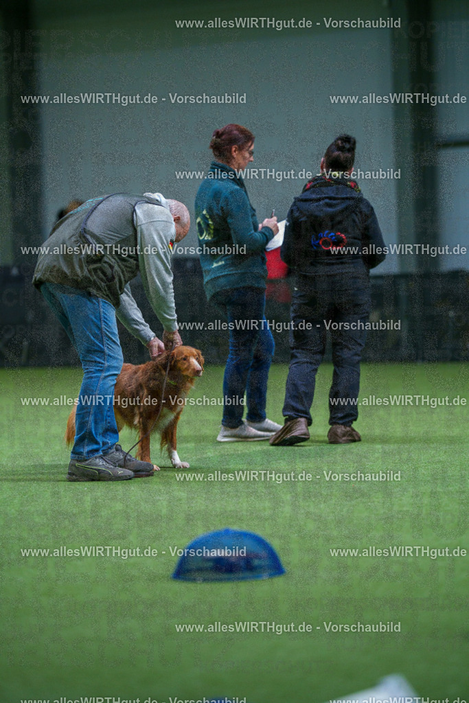 7R506361 | Professionelle Tierfotografie in Mönchengladbach von Daniel Wirth (allesWIRTHgut). Liebevolle & natürliche Bilder von Hunden & Katzen für unvergessliche Erinnerungen.