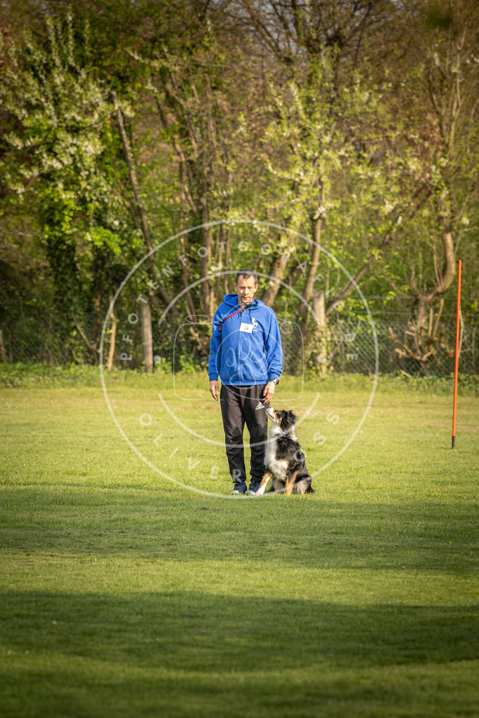 Pfotenfotografie_DV3A4827 | Hundefotografie, Tierfotograf, Pfotenfotografie, Fotoshooting Hund, Hunde Portrait, Hundesport, Hundeportraits, Heideshooting, Hunde, Sportfotograf, Hundefotograf, Turnierhundsport, THS,  - Realisiert mit Pictrs.com