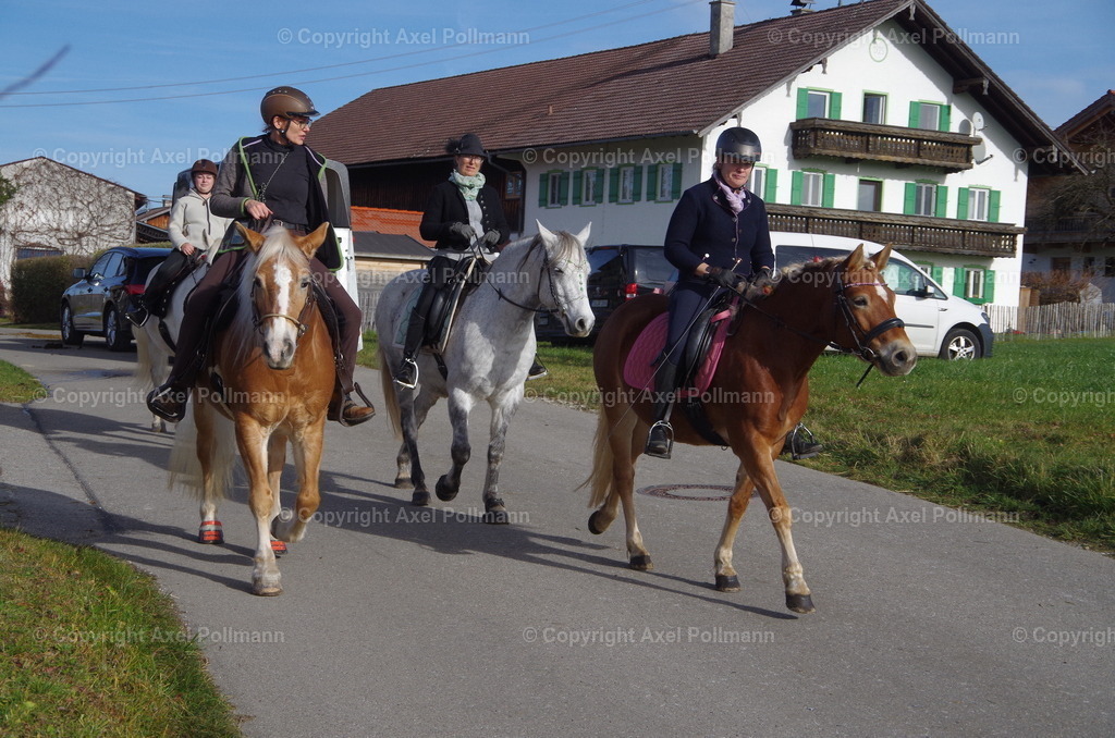 IMGP1637 | fotografiert von Axel PollmannLeonhardi Wallfahrt Benediktbeuern und Murnau, Fronleichnam, Fasching, Landschaft im Loisachtal und Benediktbeuern  - Realisiert mit Pictrs.com