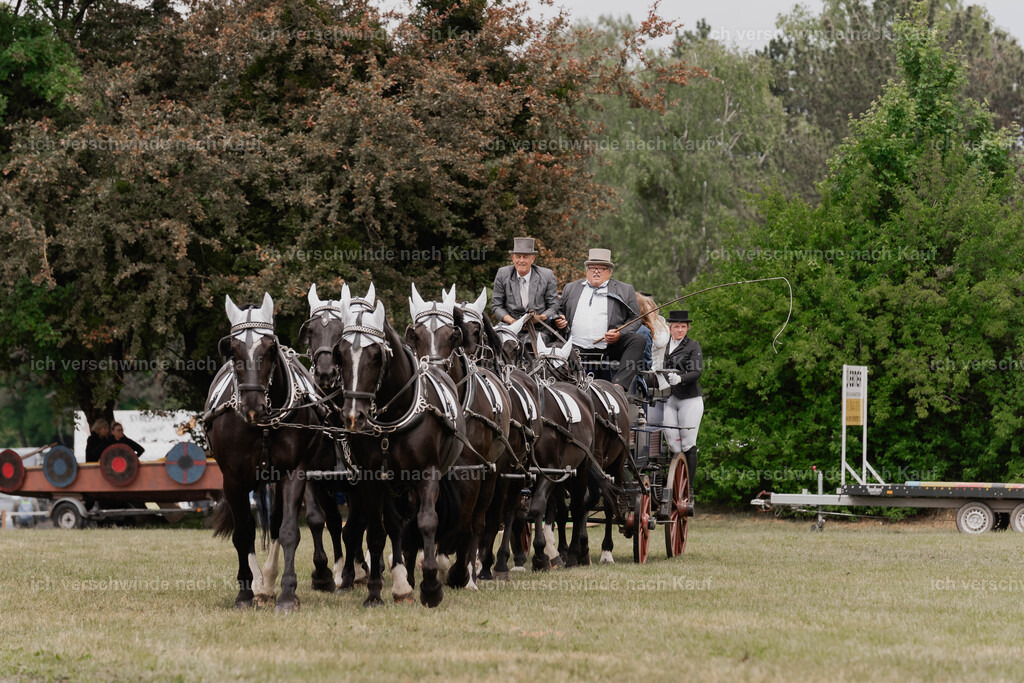 Showprogramm-141 | working equitationturnier fotograf videograf stoibphotography marixx film working equitation deutschland reitsport turnierfotografie eventfotografie equestrian events