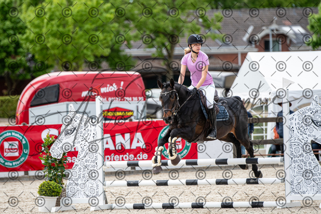 KPT_6941 | andre_photographic