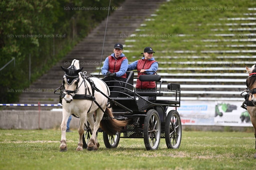 PI26_Show_Sara_Landvogt_226_0889.JPG | working equitationturnier fotograf videograf stoibphotography marixx film working equitation deutschland reitsport turnierfotografie eventfotografie equestrian events