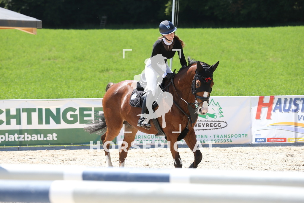PP017594 | Willkommen bei Brunnmayr - Design & Fotografie – Ihrem Spezialisten für Reitturniere und Pferdeveranstaltungen in Oberösterreich, Salzburg und Bayern! Seit über 17 Jahren sind wir leidenschaftlich dabei.