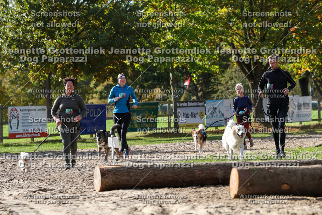 Dog Paparazzi - Strongdog 10-25-5541 | Dog Paparazzi Jeanette Grottendiek Fotografie & Videografie - Realisiert mit Pictrs.com