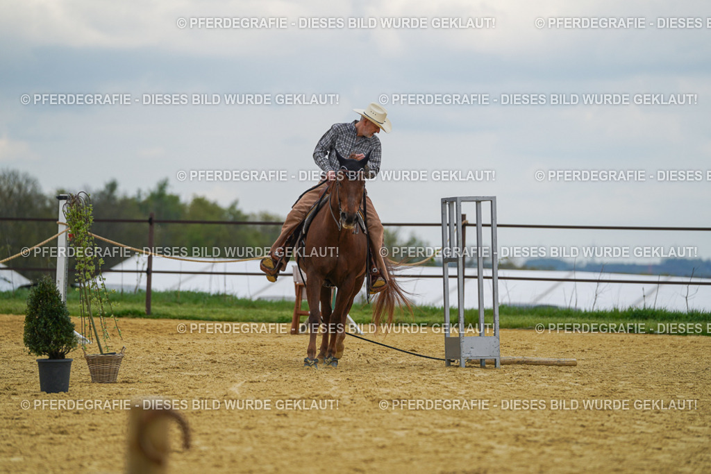 DSC06841 | Pferdegrafie