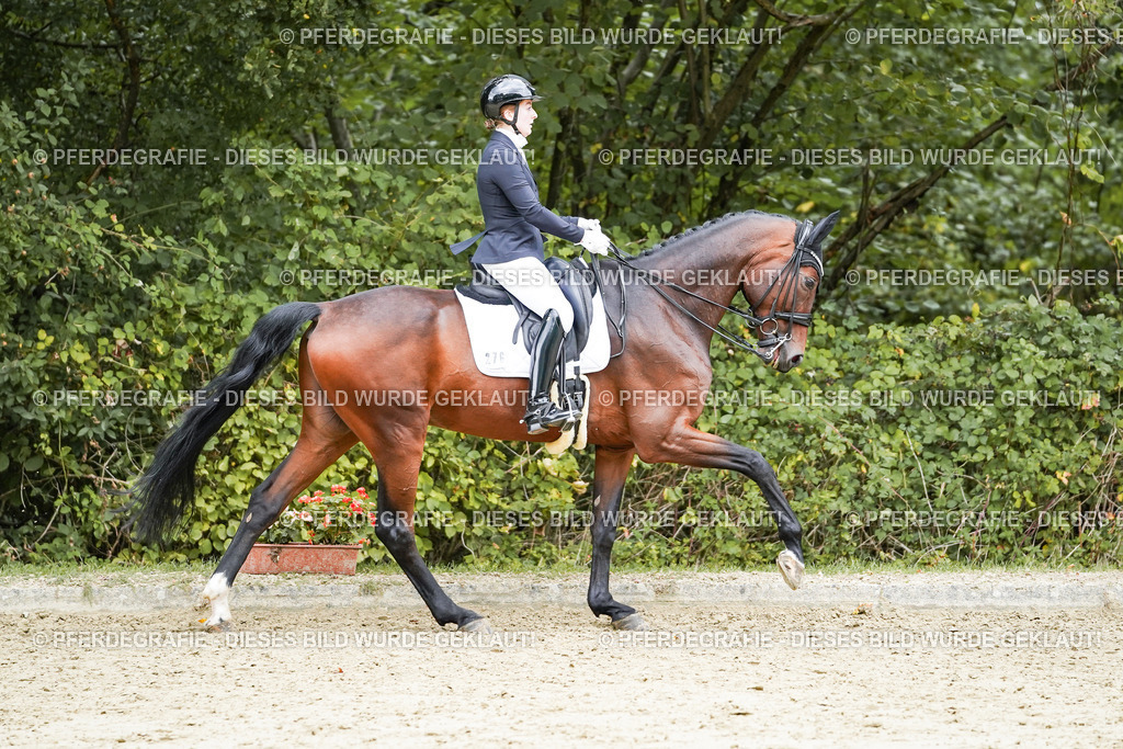 DSC07176 | Pferdegrafie