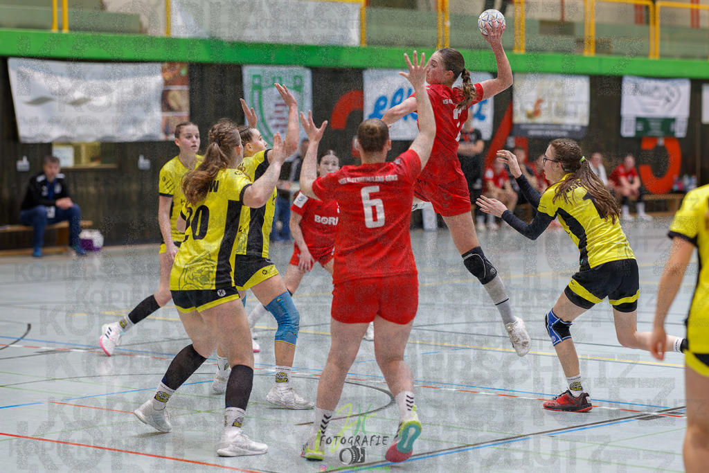 Hessenmeisterschaft wJC - Finale; HSG Kleenheim - HSG Weiterstadt/ Braunsh.Worf. | Hessenmeisterschaft wJC - Finale; HSG Kleenheim - HSG Weiterstadt/ Braunsh.Worf. am 22.03.2025 in Biedenkopf (Sporthalle Lahntalschule)Photo © 2025 - Jörg Heinrich - Realisiert mit Pictrs.com