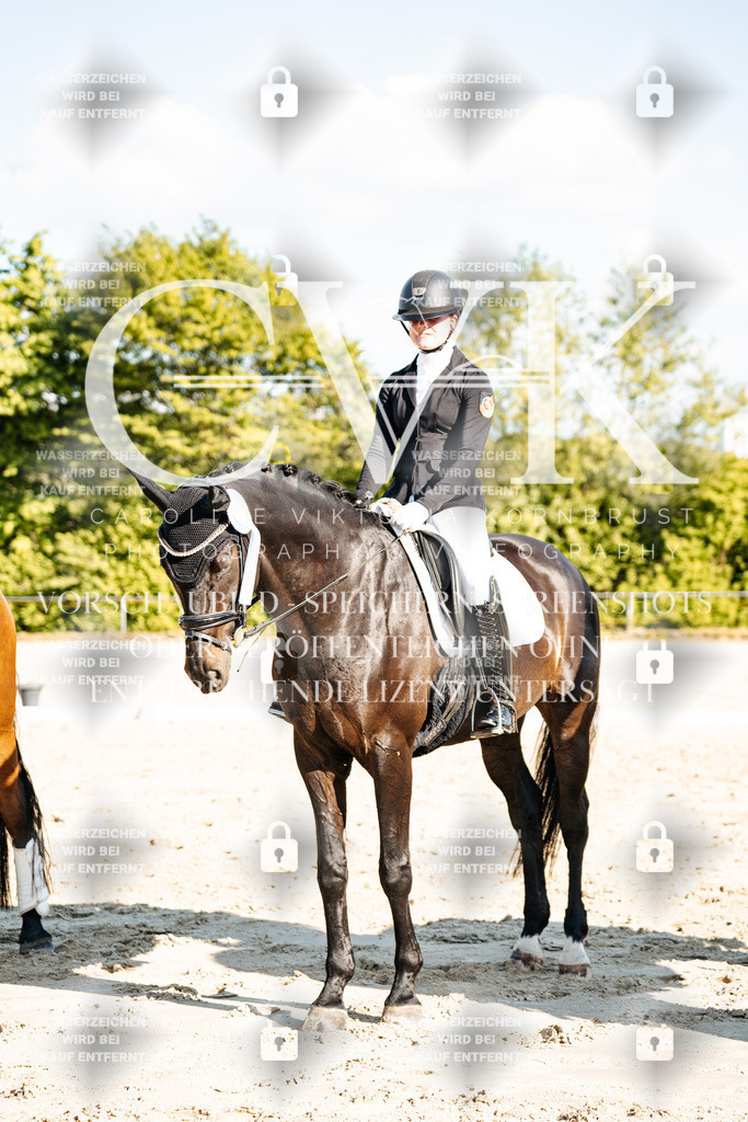 CK703584 | Turnierfotografie Pferdefotografie Trier Rheinland-Pfalz Pferdesport Reitsport Tierfotografie Sportfotografie Pferdevideo Pferdevideografie Equestrianvideography equestrianphotography  - Realisiert mit Pictrs.com