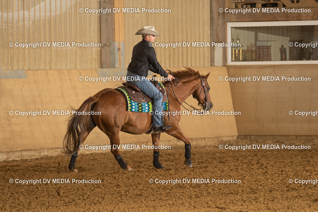 LAU00399 | dv-media-shop - Realisiert mit Pictrs.com