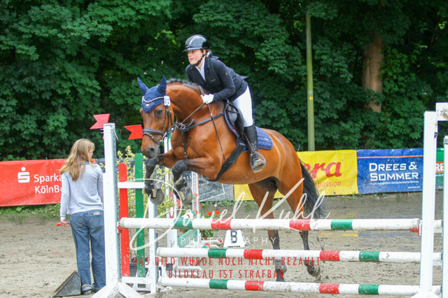 DKP44951 | Turniersportfotografie; Pferdefotografie; Dressurfotografie