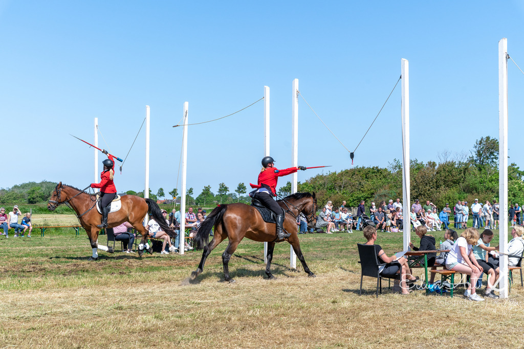 EAF_5091 | Eilun-Art-Fotografie Levke Martens, ihre Fotografin für Immobilien- und Landschaftsfotografie auf Föhr, Föhrer Motive als Poster, Leinwand, hinter Acrylglas oder stelle dir deinen eigenen Monatskalender zusammen, mit nur einem Klick