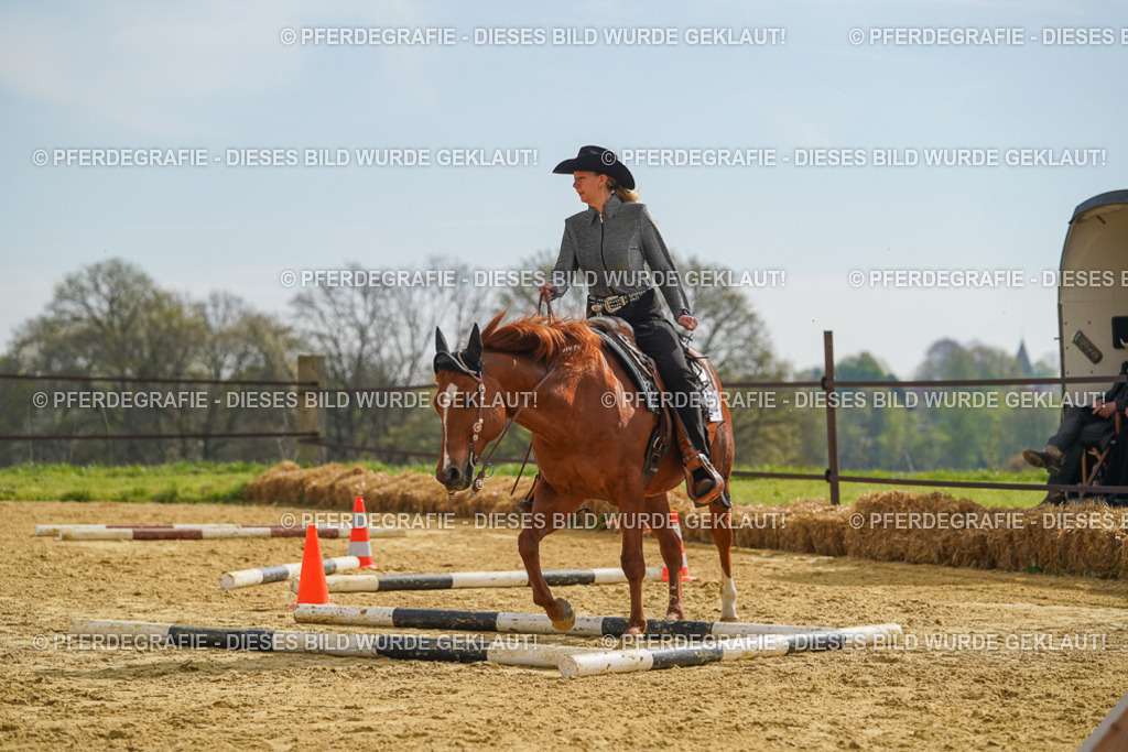 DSC01934 | Pferdegrafie