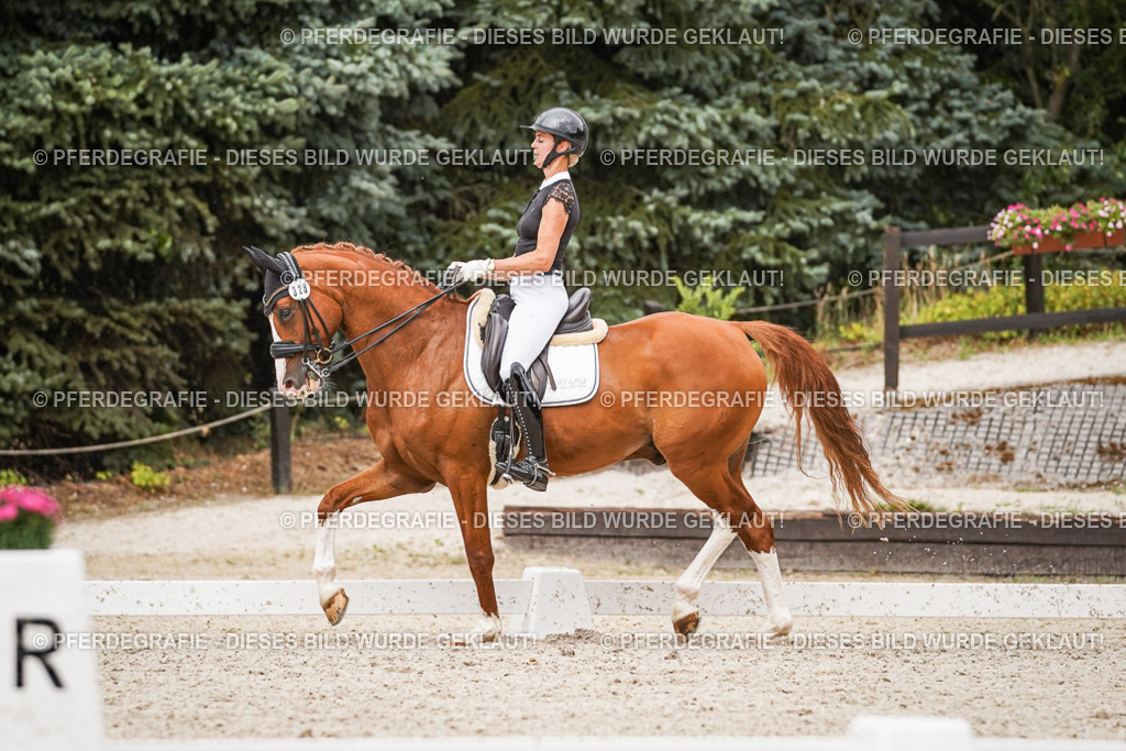 DSC07962 | Pferdegrafie