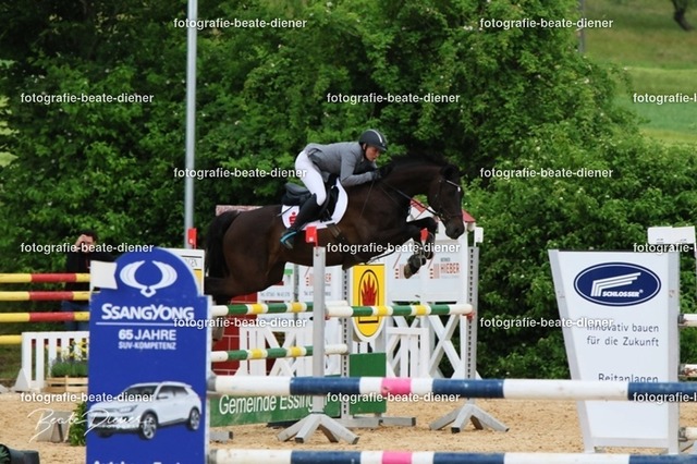 OHT2381 | Fotografie, Tiere, Hunde, Katzen, Pferde, Sportfotografie, Fotosession, Tierfotografie, Turnierfotografie, Fotografin, Fotograf - Realisiert mit Pictrs.com