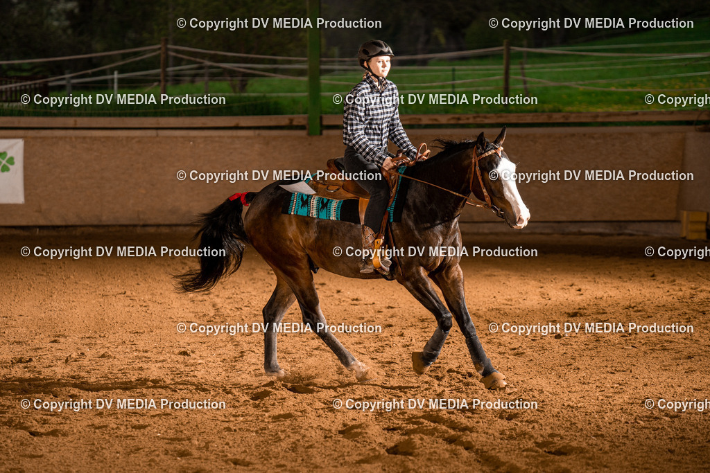 BAL01098 | dv-media-shop - Realisiert mit Pictrs.com