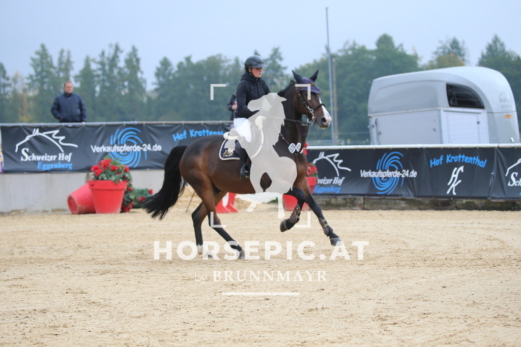 DL2Q0221 | Willkommen bei Brunnmayr - Design & Fotografie – Ihrem Spezialisten für Reitturniere und Pferdeveranstaltungen in Oberösterreich, Salzburg und Bayern! Seit über 17 Jahren sind wir leidenschaftlich dabei.