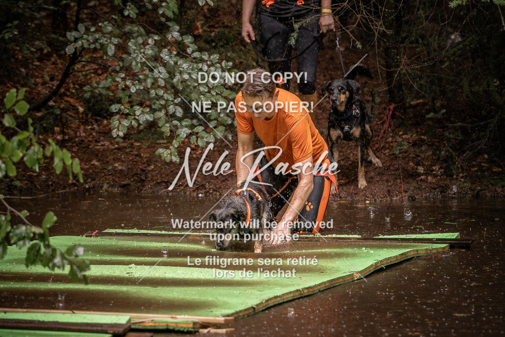 nelerasche_Wingst_Sa1330-1400_127 | nelerasche