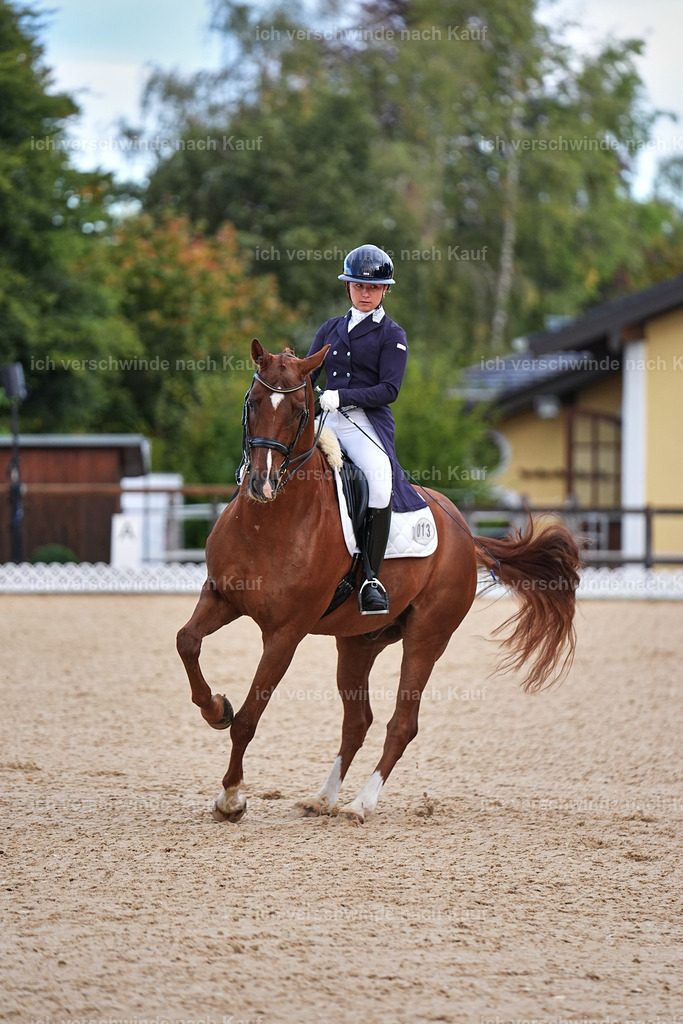10-113-ST.GEORG SPECIAL -Marixx-3314 | working equitationturnier fotograf videograf stoibphotography marixx film working equitation deutschland reitsport turnierfotografie eventfotografie equestrian events