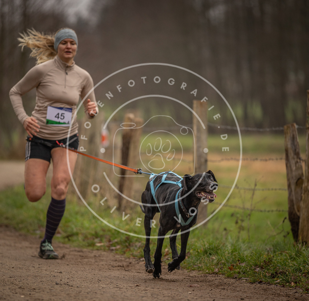 Pfotenfotografie_DV3A2739 | Hundefotografie, Tierfotograf, Pfotenfotografie, Fotoshooting Hund, Hunde Portrait, Hundesport, Hundeportraits, Heideshooting, Hunde, Sportfotograf, Hundefotograf, Turnierhundsport, THS,  - Realisiert mit Pictrs.com