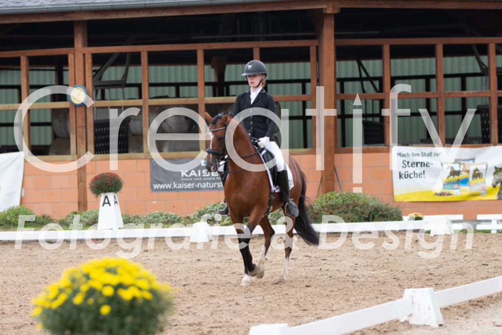 IMG_7319 | Creatify Fotografie