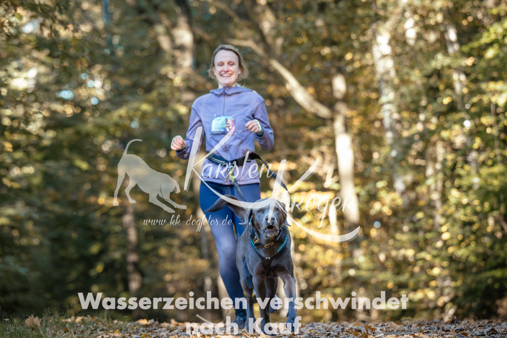 1041_ZZ90687 | kk-dogfotos