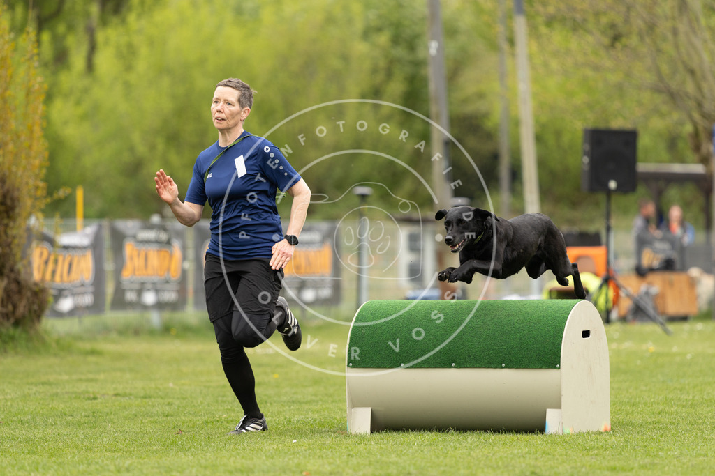 Pfotenfotografie_DV3A9214 | Hundefotografie, Tierfotograf, Pfotenfotografie, Fotoshooting Hund, Hunde Portrait, Hundesport, Hundeportraits, Heideshooting, Hunde, Sportfotograf, Hundefotograf, Turnierhundsport, THS,  - Realisiert mit Pictrs.com