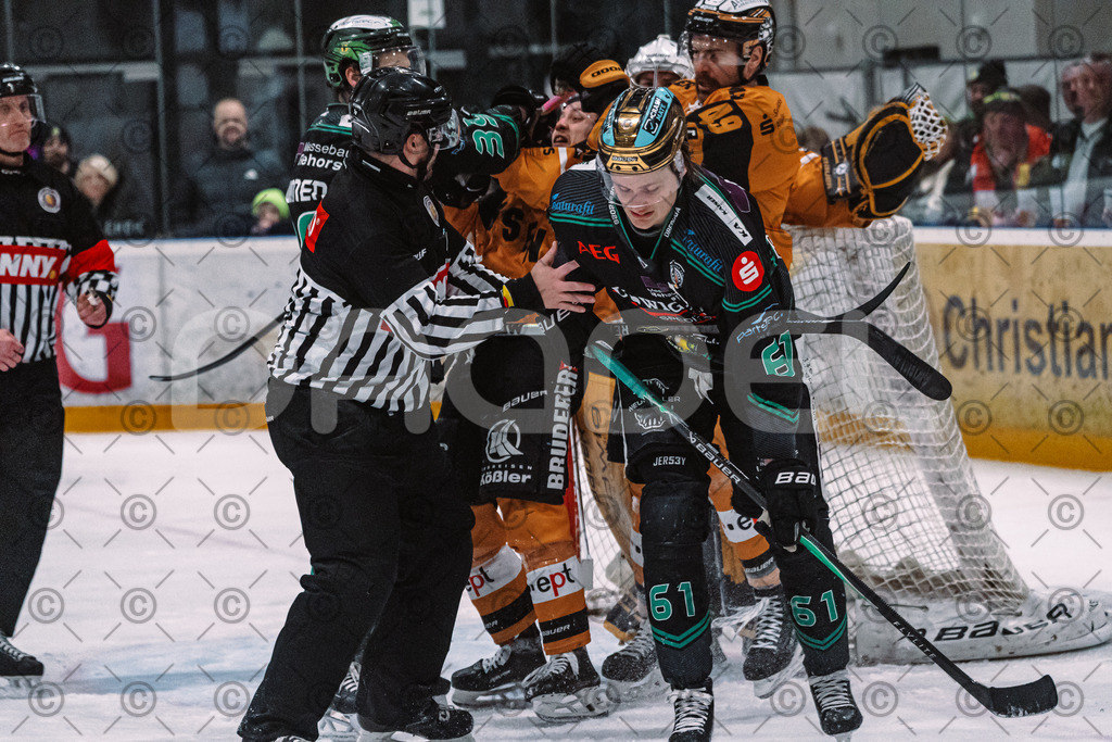 Alligators_vs_Fuessen_01_03_2026_PP-37 | Höchstadt Alligators Fotogalerie: Eishockey-Action aus Franken. Professionelle Spielfotos, Portraits & Stadionbilder zum Download. Jetzt entdecken! - Realisiert mit Pictrs.com