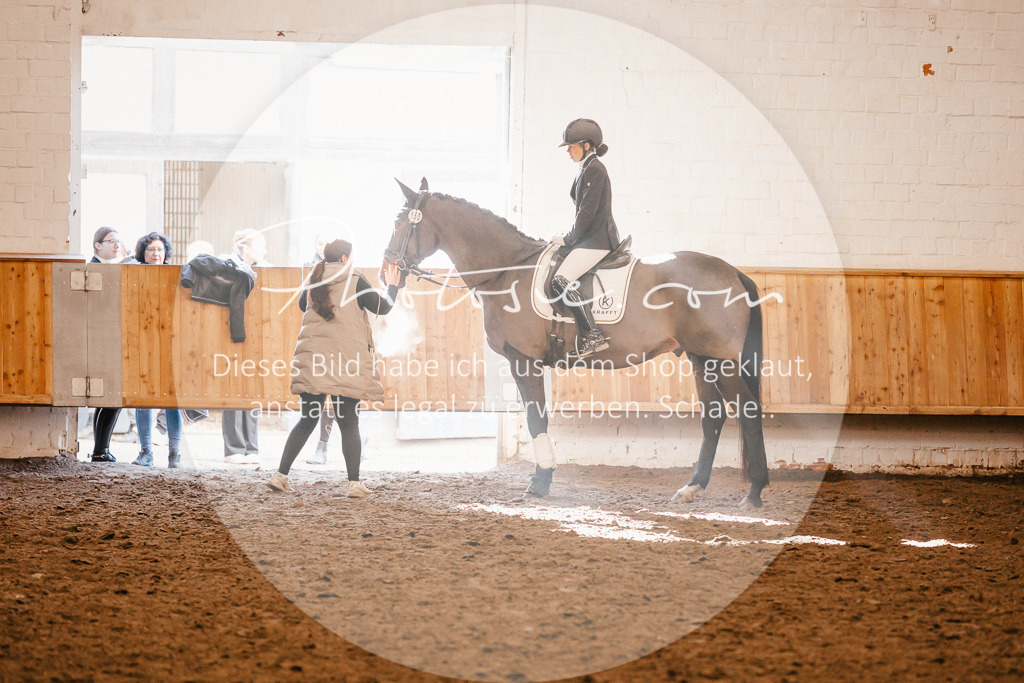 3I6A2105 | Stimmungsvolle Portraits und Reitsportfotografie im Ruhrgebiet und im Münsterland.

Pferdefotografie, Hundefotografie, Tierfotografie, Reportagen, Portraits von Tier und Mensch, Turnierfotografie in Bochum, Recklinghausen, Marl, Haltern am See, Dülmen.. - Realisiert mit Pictrs.com