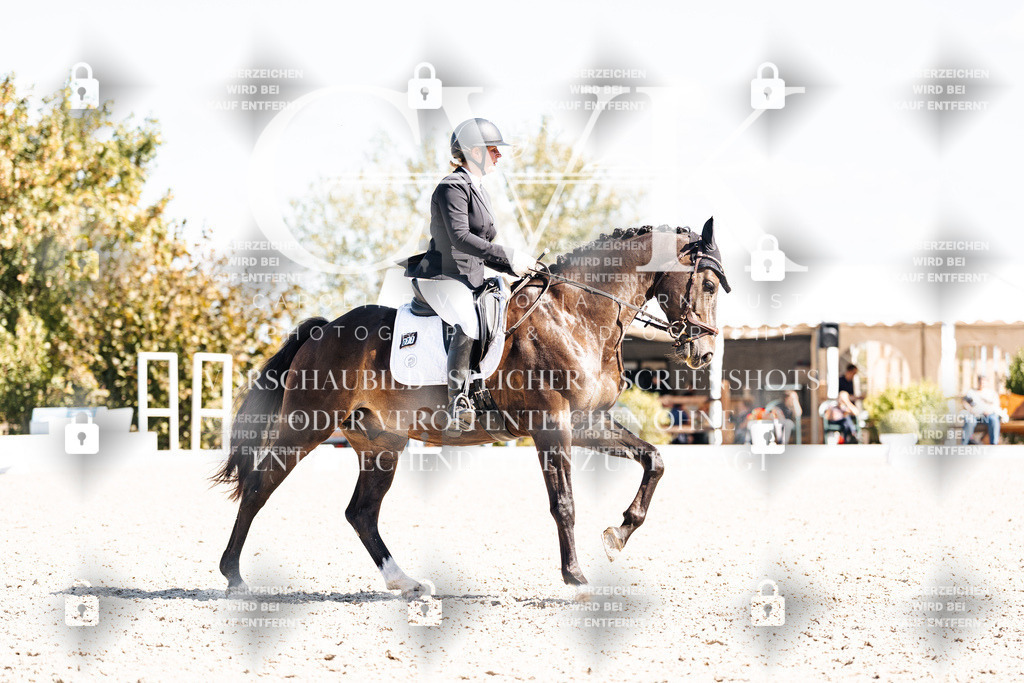 CK903570 | Turnierfotografie Pferdefotografie Trier Rheinland-Pfalz Pferdesport Reitsport Tierfotografie Sportfotografie Pferdevideo Pferdevideografie Equestrianvideography equestrianphotography  - Realisiert mit Pictrs.com