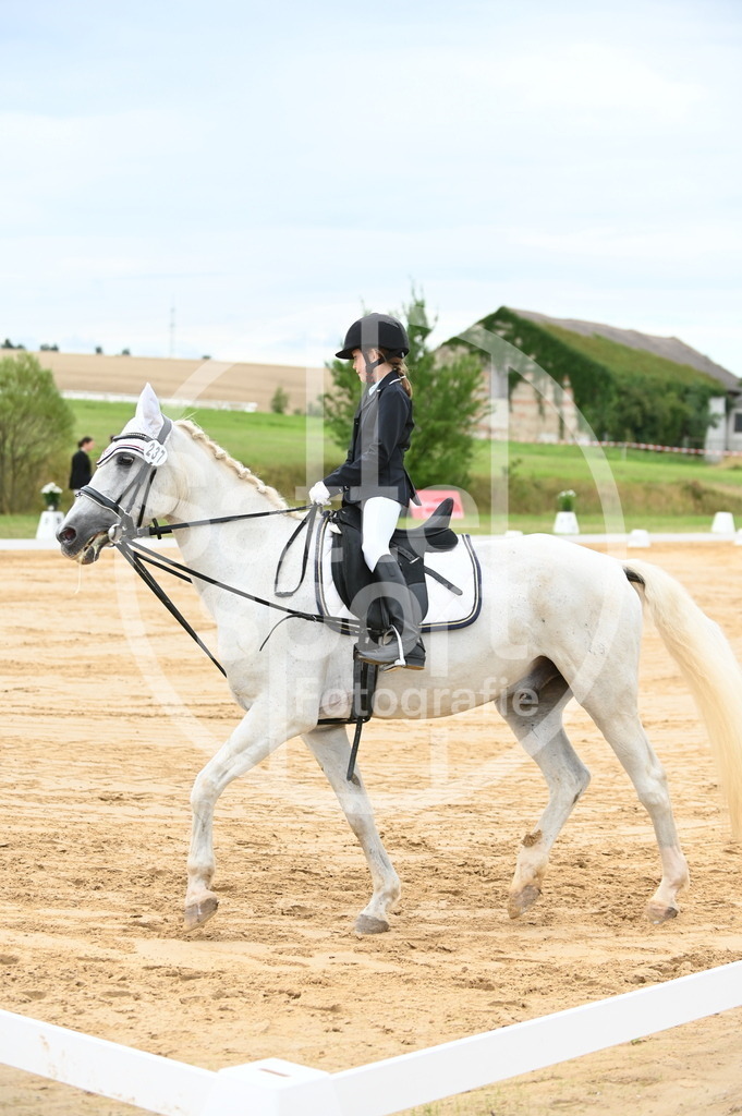 DSC_5248 | sattelsport - Realisiert mit Pictrs.com